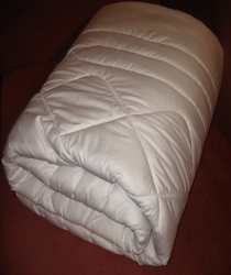  Одеяло силиконизированное Стиль модерн белое 